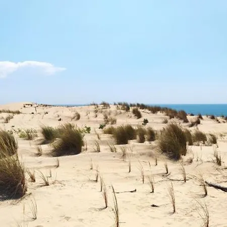 Casa vacanze Confort Avec Terrasse, Cuisine D'ete Et Jardin, A 3 Km Des Plages - Les Mathes-la Palmyre - Fr-1-705-70 Les Mathes